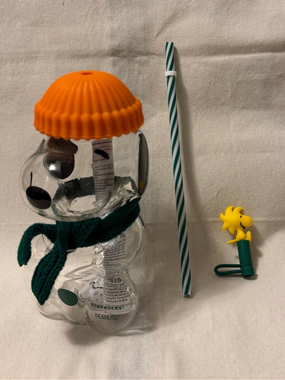 Starbucks x Peanuts Snoopy Cold Cup Glass Brand New